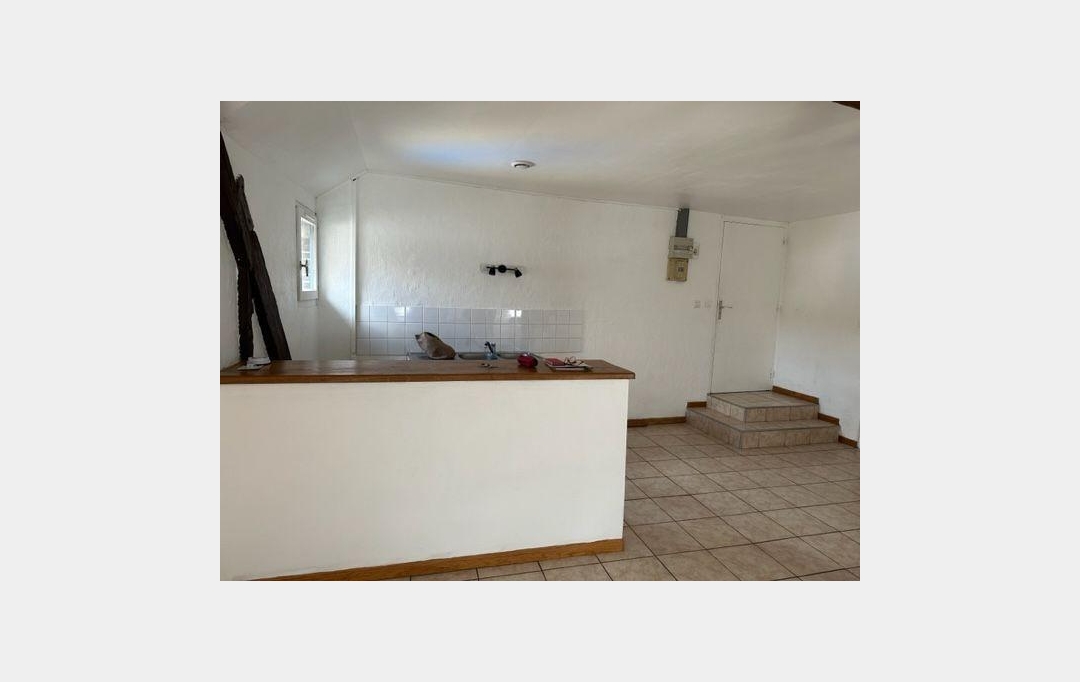 REPUBLIQUE IMMOBILIER : Apartment | VILLENEUVE-SUR-YONNE (89500) | 45 m2 | 490 € 